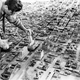 Illustration for article titled Southland: Excavating the Urban History of Greater Los Angeles